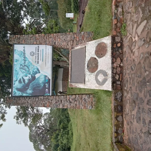 084528 1