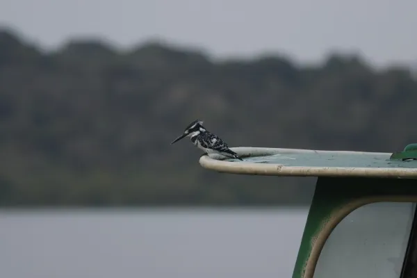 TANZANIA gallery 1