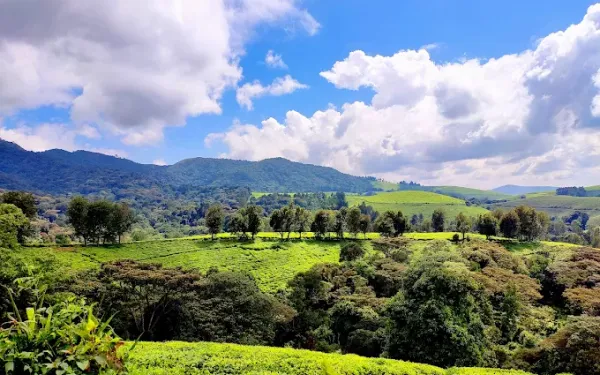 Top Attractions in Burundi