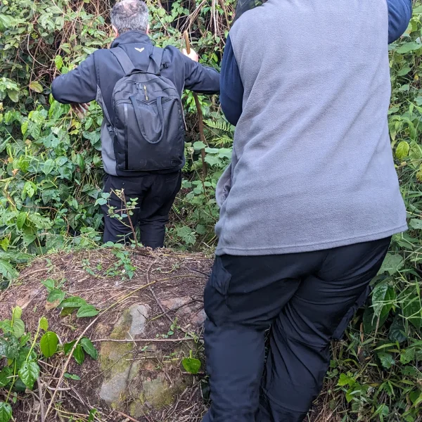 qe park wildlife africa safari tour february 2026