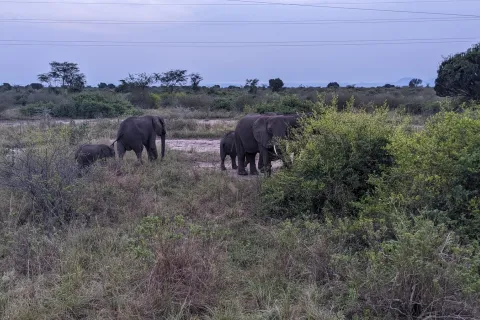 Sunrise at Queen Elizabeth National Park