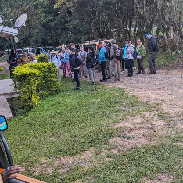 uganda national park morning game drive safari 2026
