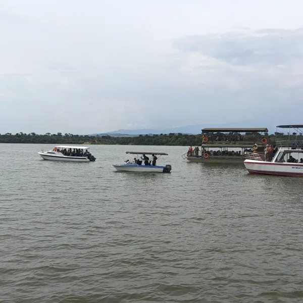 uganda wildlife photography safari east africa
