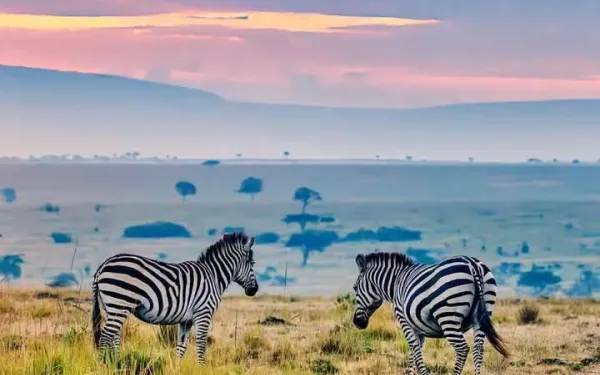 Best Time to Visit Burundi for Safari and Travel (2026 Guide)