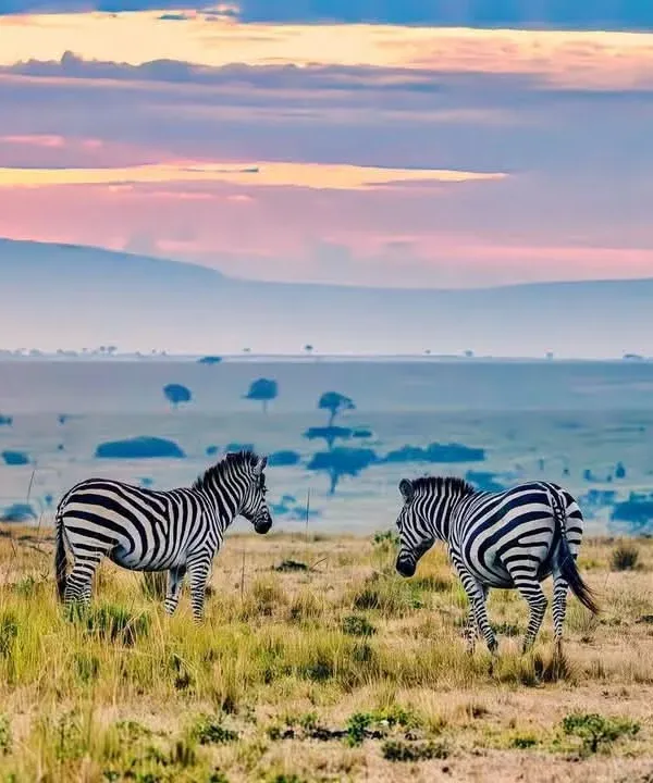 Group Tour Packages