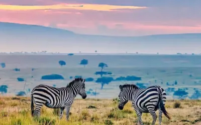 Best Time to Visit Burundi for Safari and Travel (2026 Guide)